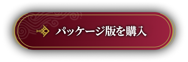 パッケージ版を購入