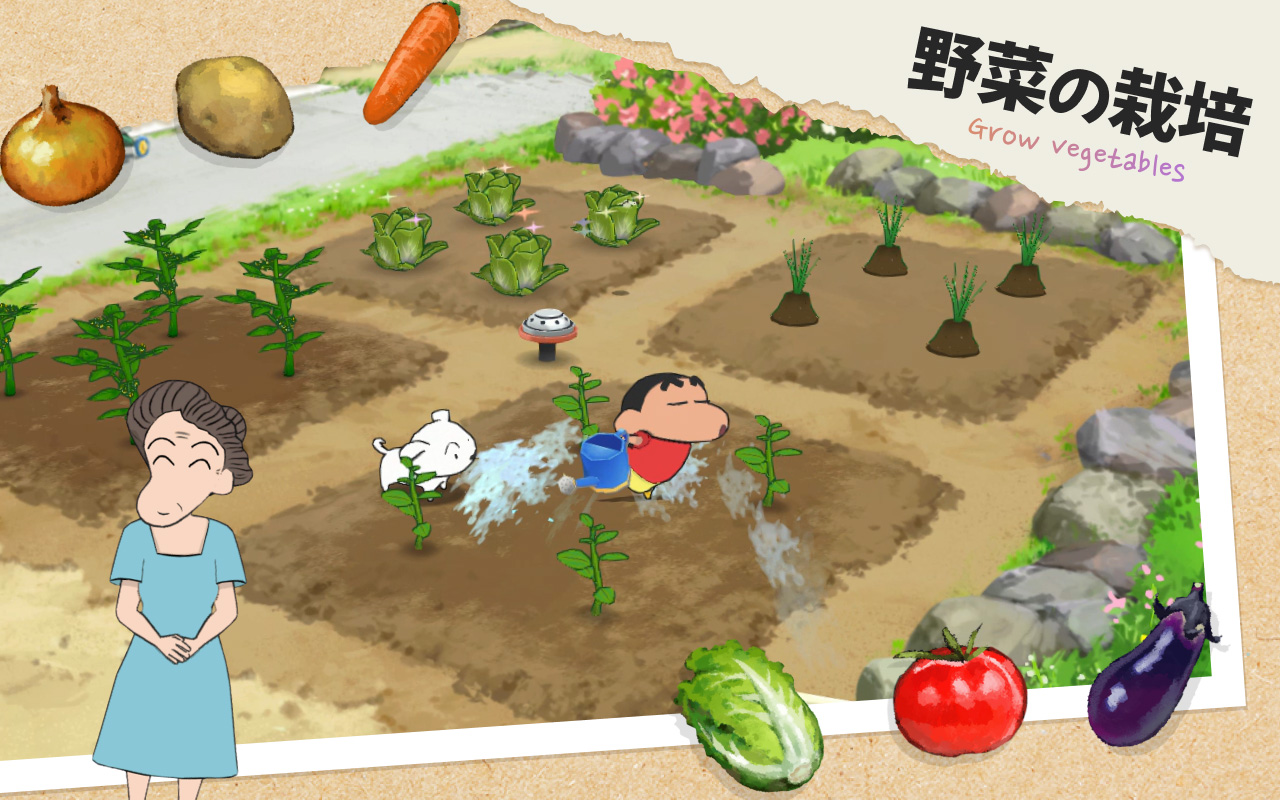 野菜の栽培